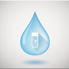 Soil Moisture