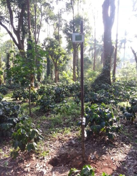 Coorg, India